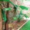Villa Senan - 2 Apartments - Mirissa