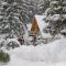 Traveland Boutique Resort Poiana Brasov