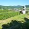 Appartement charmant à Epfig avec vue sur jardin - Epfig