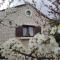 Stone Villa Olea - Holiday house in olive grove - سوبيتار