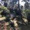 Villa Lucienne Bandol , T2 4 étoiles avec garage, dans les calanques - Bandol