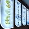Acar Airport Hotel Plus