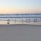 Lets Do Sunset