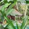RNV Eco Resort Bungalows