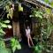 Ruwan Jungle Homestay