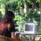 Green Mansions Jungle Resort - Sauraha