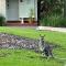 VILLA DION - 3 Bedrooms situated in Cypress Lakes Resort