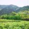 Crowne Plaza Huangshan Yucheng by IHG - Huangshan