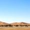 Chegaga desert Trips camp