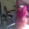 Eagles Nest B&B