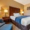 Comfort Inn Apalachin - Binghamton W Route 17