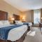 Comfort Inn Apalachin - Binghamton W Route 17