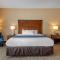 Comfort Inn Apalachin - Binghamton W Route 17