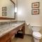 Comfort Inn Apalachin - Binghamton W Route 17