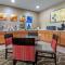 Comfort Inn Apalachin - Binghamton W Route 17