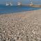 Le chant des mouettes a 300 m de la mer et du port