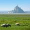 Charming Home near Mont St Michel Bay
