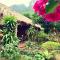 Lan Homestay
