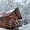 Hatcher Pass Cabins - Palmer