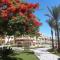 Apartements at karma beach hotel & aqua park - 赫尔格达