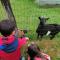 Rayon de sologne, Manoir 38 à 49 personnes 30 min zoo beauval, chambord, center parc