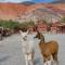 Ecohotel Posta de Purmamarca