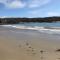 Beachside 2-Bed - Sleeps 4 Parking & Pet Friendly
