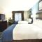Holiday Inn Express Hotel & Suites Baton Rouge -Port Allen by IHG