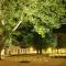 The Nest Baia Mare