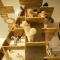 Cat Story Hotel