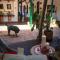 Nacuma Garden Hostel - Casa Nacuma