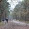 Camping het Smitske