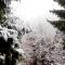 Holiday Home in Harz with Hiking Trails