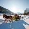 Wooden chalet in Hohentauern Styria with sauna - Hohentauern