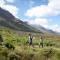 Wild Olive House at Bartholomeus Klip