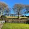 Nettle Bank - Lyme Regis