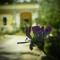 Dimora Relais Excelsa