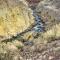Cedar Mountain Hideout By Cody Night Rodeo!