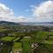 Sallys Vineyard