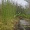 Jeevess Retreat - Wayanad