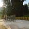 Chalet only 200 m from ski lift with sauna - 巴德小基希海姆