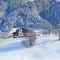 Mountain-view Apartment in Ramsau - Ramsau