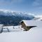 Apartment in Kaltenbach near Ski Lift