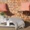 The Studio a super cute place nr Southwold
