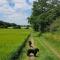 Super cute and cosy one bedroom barn nr Southwold - Southwold