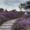 Super cute and cosy one bedroom barn nr Southwold - Southwold