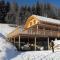 Chalet in Styria near the ski area - Stadl an der Mur