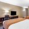 Comfort Inn Biltmore West