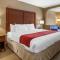 Comfort Inn Biltmore West