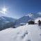 Apartment in Uderns near Ski Lift Hochzillertal